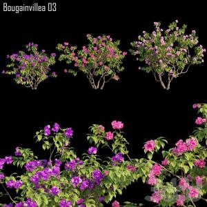 现代绿植花草组合3d模型「免费下载」