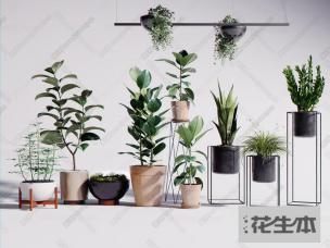 现代绿植盆栽植物吊灯组合3d模型「免费下载」