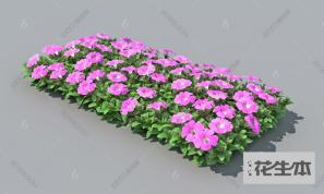 现代花3d模型「免费下载」