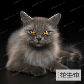 现代猫咪3d模型「免费下载」