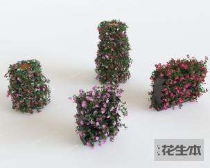 现代花艺3d模型「免费下载」