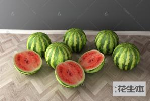 现代西瓜3d模型「免费下载」