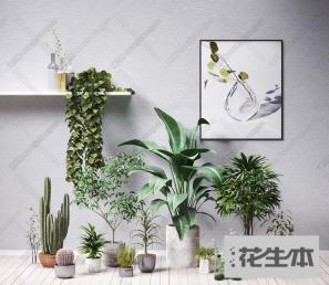 现代植物组合3d模型「免费下载」