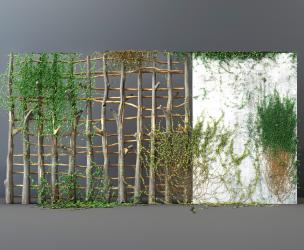 现代藤蔓植物绿植墙3d模型下载