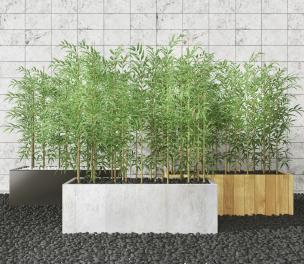 现代室外竹子盆栽3d模型下载