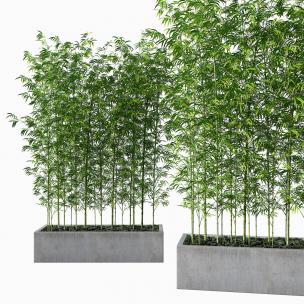 现代竹子盆栽3d模型下载