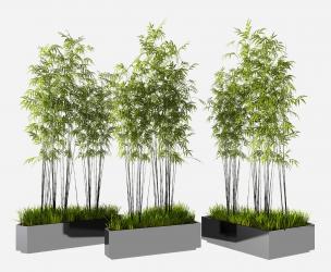 现代竹子盆栽树池3d模型下载