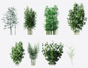 现代绿植竹子3d模型下载